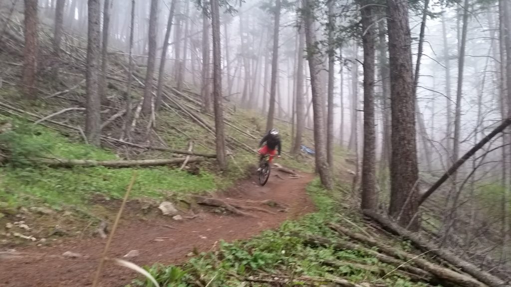 bad enchanted forest photo